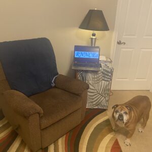 Learning in the comfort of your own home with a bulldog